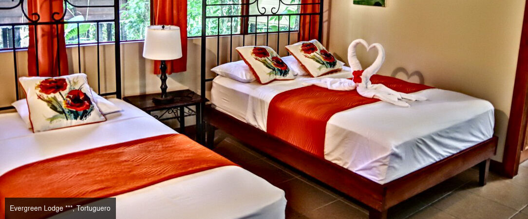 À la découverte du Costa Rica - Road trip d’exception au Costa Rica, entre nature luxuriante, volcans majestueux et plages paradisiaques. - Costa Rica