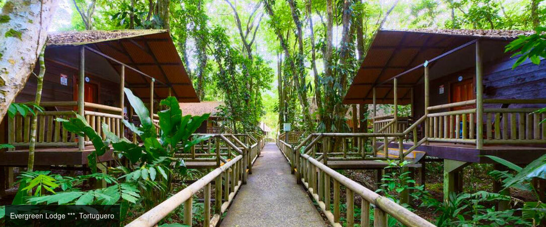 À la découverte du Costa Rica - Road trip d’exception au Costa Rica, entre nature luxuriante, volcans majestueux et plages paradisiaques. - Costa Rica