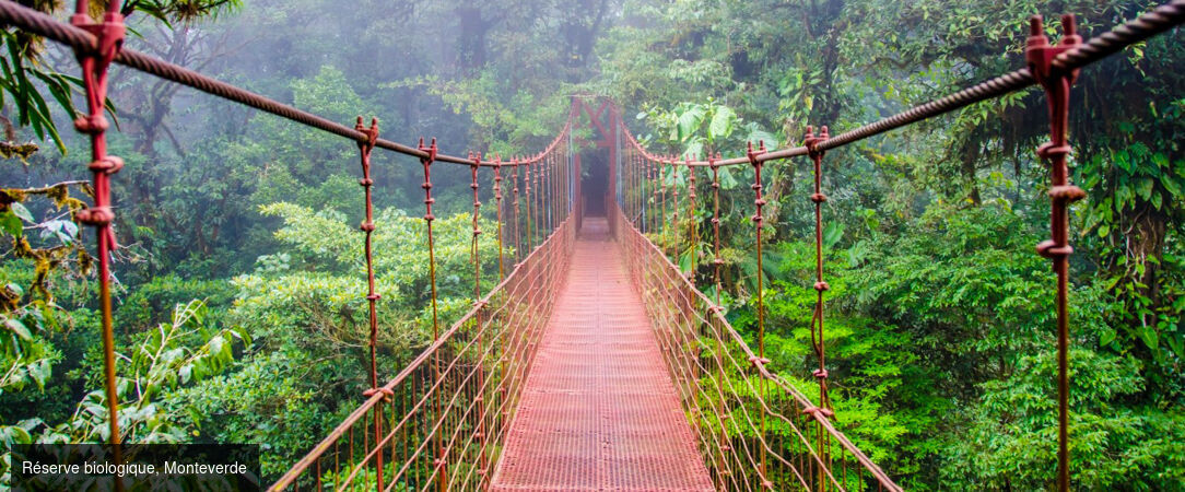 À la découverte du Costa Rica - Road trip d’exception au Costa Rica, entre nature luxuriante, volcans majestueux et plages paradisiaques. - Costa Rica