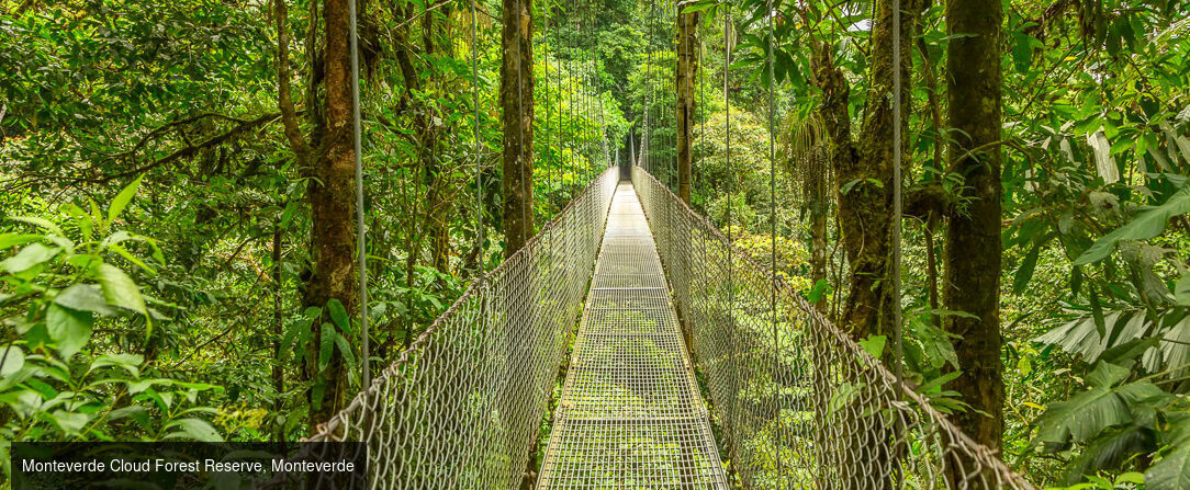 Circuit : Les incontournables du Costa Rica avec un séjour à Tamarindo -  - Costa Rica