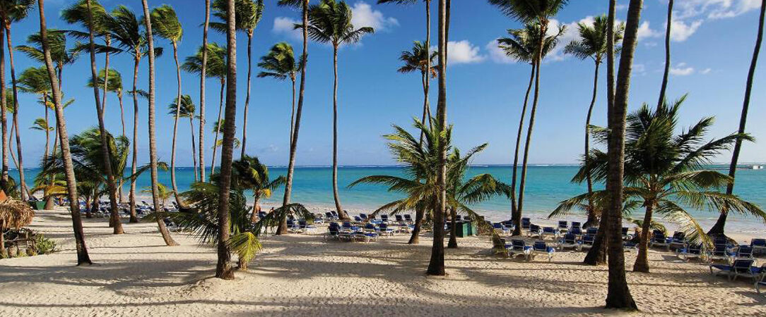 Barceló Bávaro Beach ★★★★★ - Adults Only - Séjour romantique au cœur des Caraïbes. All Inclusive. - Punta Cana, République dominicaine