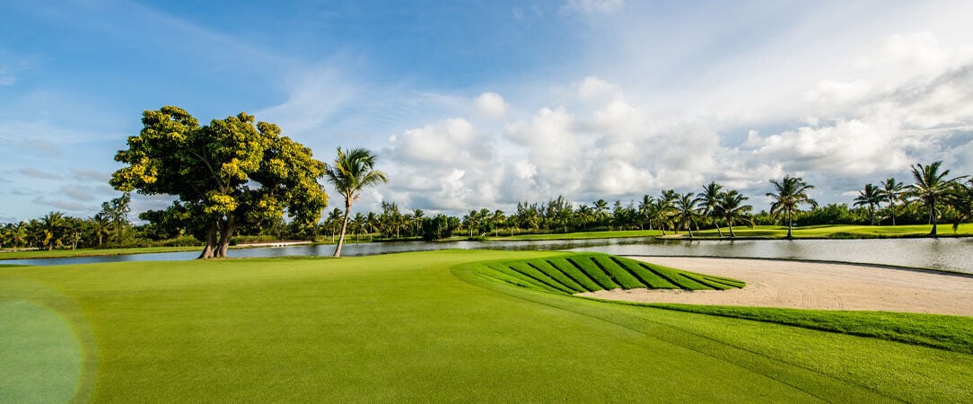 Barceló Bávaro Beach ★★★★★ - Adults Only - Séjour romantique au cœur des Caraïbes. All Inclusive. - Punta Cana, République dominicaine