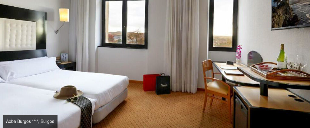 Sur les routes du nord de l’Espagne - Autotour de 6 nuits dans les régions du nord de l’Espagne, entre océan, montagnes et vignobles. - Espagne : Bilbao, Burgos, Santander