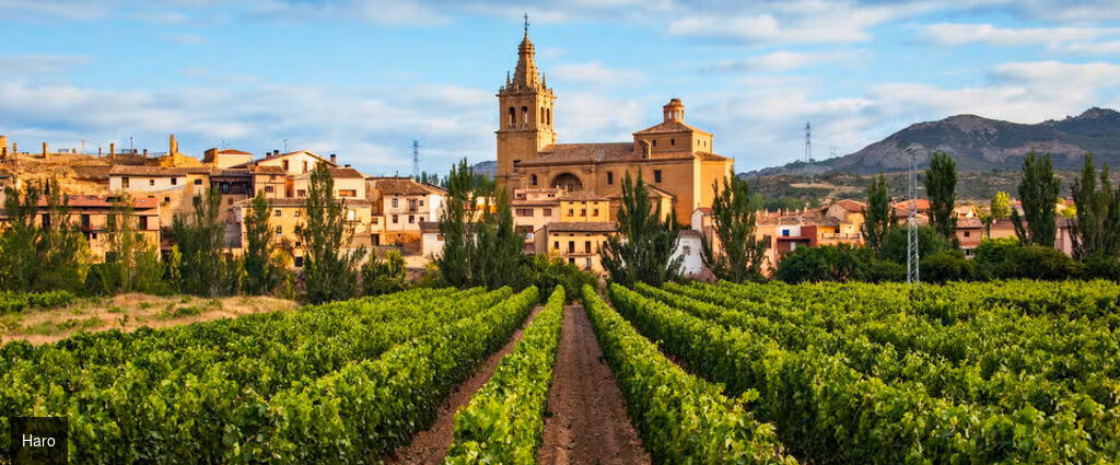 Sur les routes du nord de l’Espagne - Autotour de 6 nuits dans les régions du nord de l’Espagne, entre océan, montagnes et vignobles. - Espagne : Bilbao, Burgos, Santander