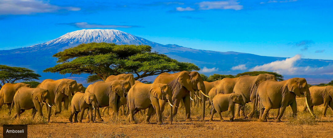 De la savane aux rivages de Diani Beach - Séjour de 10 nuits alliant 3 nuits de safari dans les parcs de Tsavo et d'Amboseli à une semaine de détente en All Inclusive sur la plage de Diani Beach. - Kenya