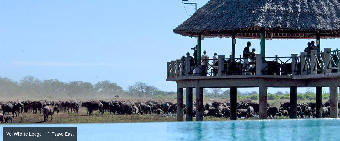 De la savane aux rivages de Diani Beach - Séjour de 10 nuits alliant 3 nuits de safari dans les parcs de Tsavo et d'Amboseli à une semaine de détente en All Inclusive sur la plage de Diani Beach. - Kenya