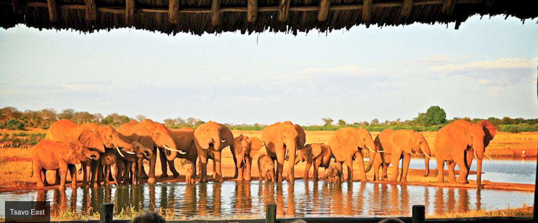 De la savane aux rivages de Diani Beach - Séjour de 10 nuits alliant 3 nuits de safari dans les parcs de Tsavo et d'Amboseli à une semaine de détente en All Inclusive sur la plage de Diani Beach. - Kenya