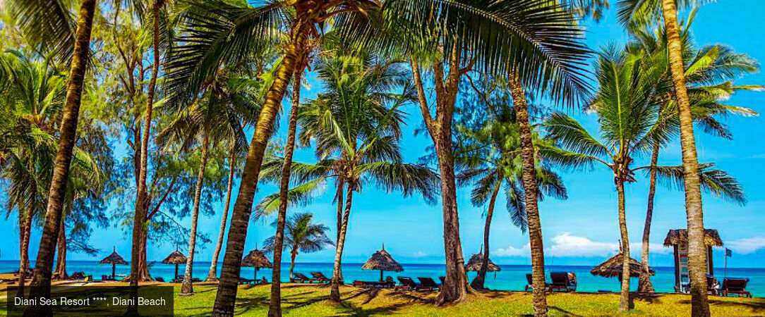 De la savane aux rivages de Diani Beach - Séjour de 10 nuits alliant 3 nuits de safari dans les parcs de Tsavo et d'Amboseli à une semaine de détente en All Inclusive sur la plage de Diani Beach. - Kenya