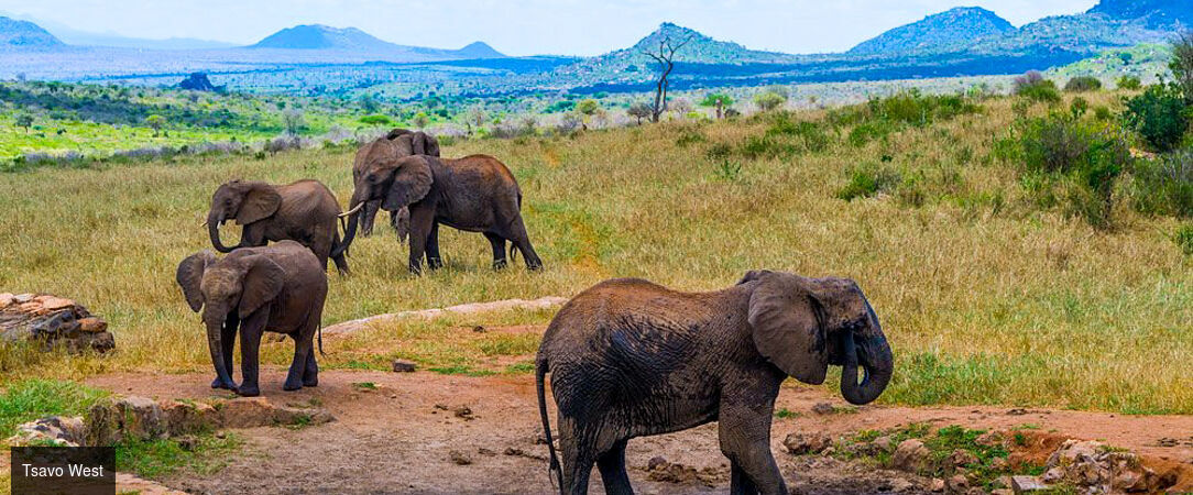 De la savane aux rivages de Diani Beach - Séjour de 10 nuits alliant 3 nuits de safari dans les parcs de Tsavo et d'Amboseli à une semaine de détente en All Inclusive sur la plage de Diani Beach. - Kenya
