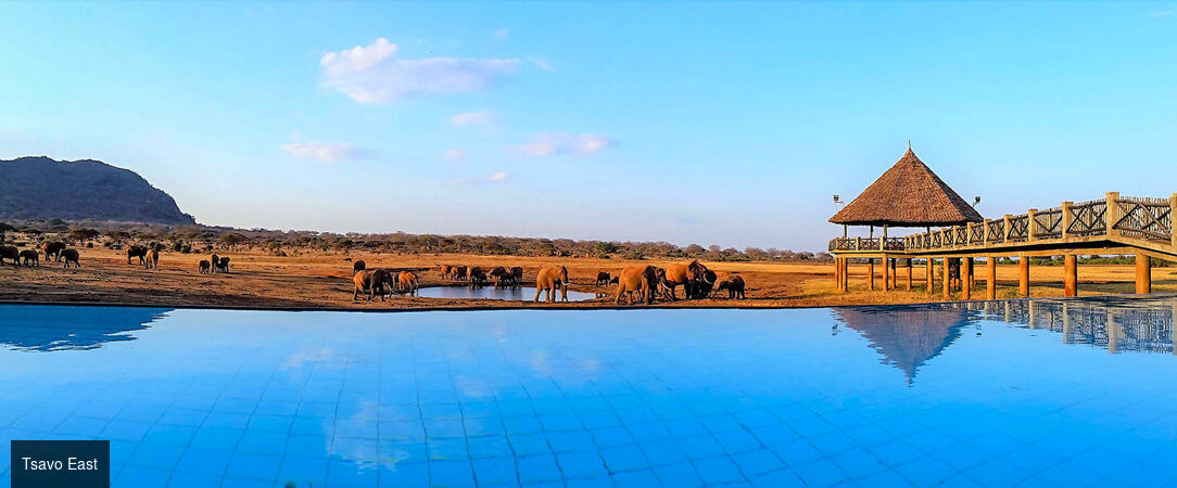 De la savane aux rivages de Diani Beach - Séjour de 10 nuits alliant 3 nuits de safari dans les parcs de Tsavo et d'Amboseli à une semaine de détente en All Inclusive sur la plage de Diani Beach. - Kenya