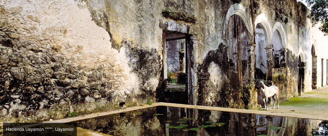 Voyage au Mexique : immersion au cœur de la jungle dans 3 Haciendas authentiques du Yucatán - Triptyque au Mexique : haciendas, terres sauvages, luxe et traditions. - Mexique