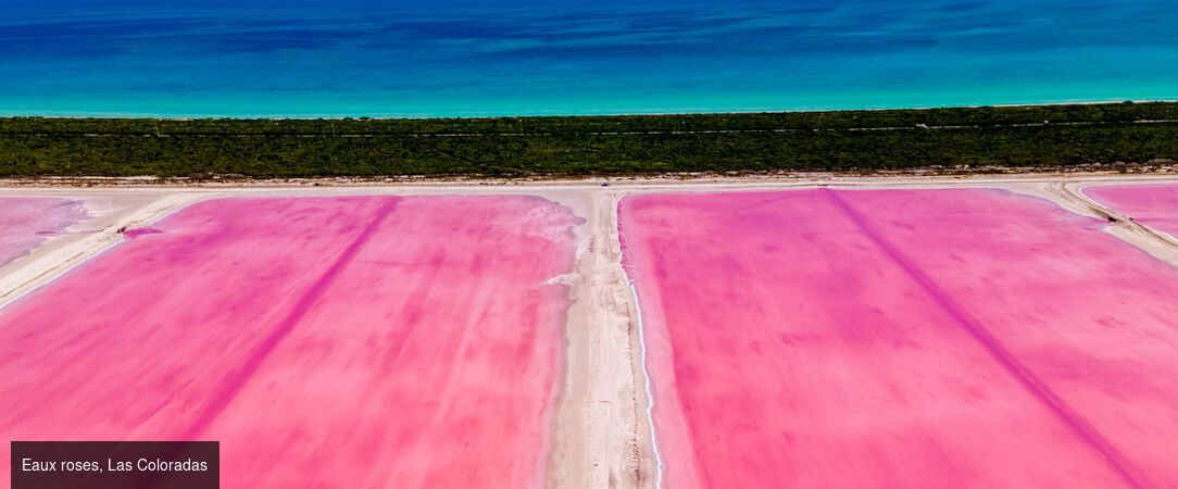 Voyage au Mexique : immersion au cœur de la jungle dans 3 Haciendas authentiques du Yucatán - Triptyque au Mexique : haciendas, terres sauvages, luxe et traditions. - Mexique