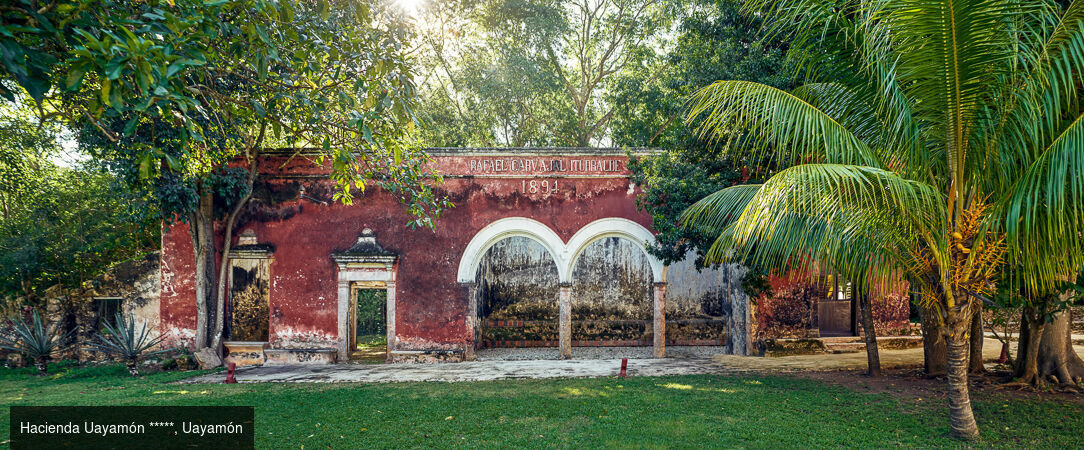 Voyage au Mexique : immersion au cœur de la jungle dans 3 Haciendas authentiques du Yucatán - Triptyque au Mexique : haciendas, terres sauvages, luxe et traditions. - Mexique