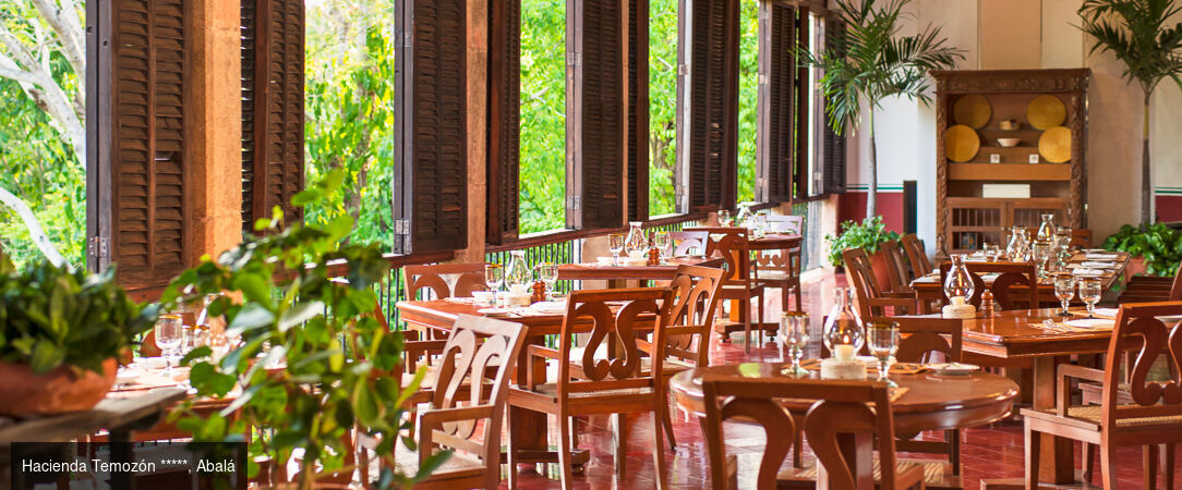 Voyage au Mexique : immersion au cœur de la jungle dans 3 Haciendas authentiques du Yucatán - Triptyque au Mexique : haciendas, terres sauvages, luxe et traditions. - Mexique