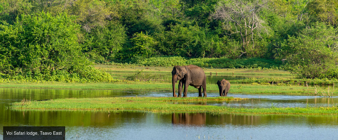 Voyage au Kenya entre plage et savane - Séjour de 6 à 14 nuits au Kenya, entre safaris dans le Tsavo East et plages turquoise de Watamu, en formule All Inclusive. - Kenya : Watamu & Tsavo East