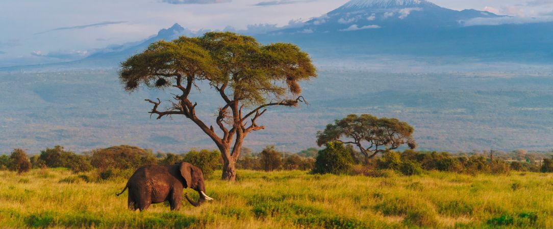 Voyage au Kenya entre plage et savane - Séjour de 6 à 14 nuits au Kenya, entre safaris dans le Tsavo East et plages turquoise de Watamu, en formule All Inclusive. - Kenya : Watamu & Tsavo East