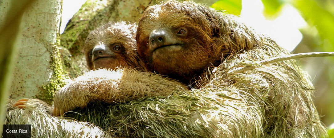 Le meilleur du Costa Rica et détente sur les plages de Bocas del Toro - Dépaysement total au fil des paysages tropicaux : un voyage sublime au Costa Rica et à Panama. - Costa Rica