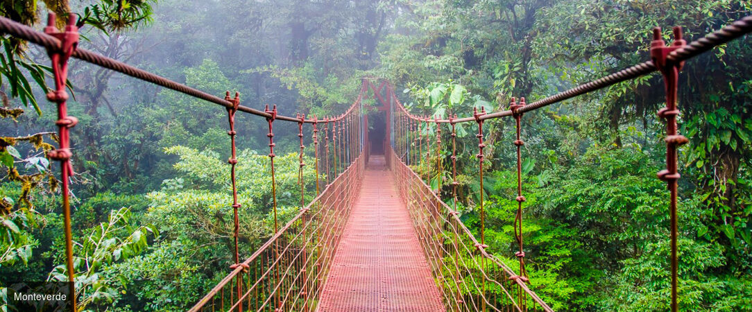 Le meilleur du Costa Rica et détente sur les plages de Bocas del Toro - Dépaysement total au fil des paysages tropicaux : un voyage sublime au Costa Rica et à Panama. - Costa Rica
