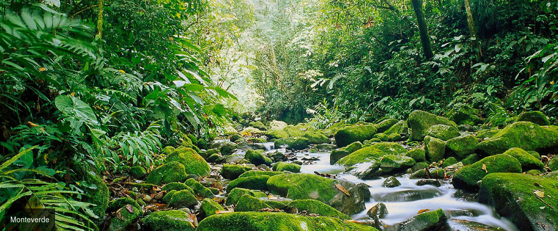 Le meilleur du Costa Rica et détente sur les plages de Bocas del Toro - Dépaysement total au fil des paysages tropicaux : un voyage sublime au Costa Rica et à Panama. - Costa Rica