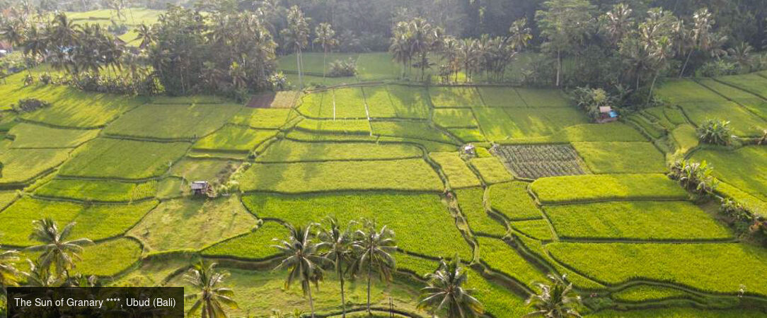 Immersion dépaysante et luxueuse à Bali - Un séjour indonésien en 3 étapes à Bali, d'Ubud à Sanur, en passant par Lombok. - Indonésie : Ubud, Lombok & Sanur