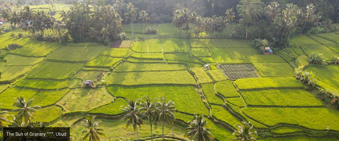 Immersion dépaysante et luxueuse à Bali - Un séjour indonésien en 3 étapes à Bali, d'Ubud à Sanur, en passant par Lombok. - Indonésie : Ubud, Lombok & Sanur