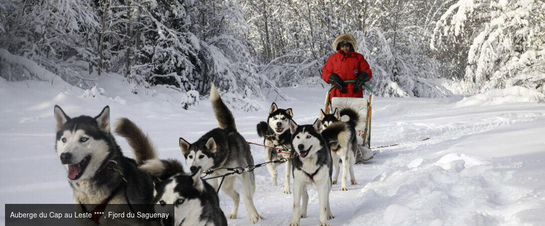 Magie d'hiver au fjord-du-Saguenay - Circuit de 8 jours au cœur du Québec en hiver, entre activités nordiques, nature enneigée et immersion dans la chaleur humaine du Saguenay. - Canada : Montréal, Fjord du Saguenay & Québec