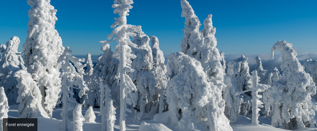Magie d'hiver au fjord-du-Saguenay - Circuit de 8 jours au cœur du Québec en hiver, entre activités nordiques, nature enneigée et immersion dans la chaleur humaine du Saguenay. - Canada : Montréal, Fjord du Saguenay & Québec