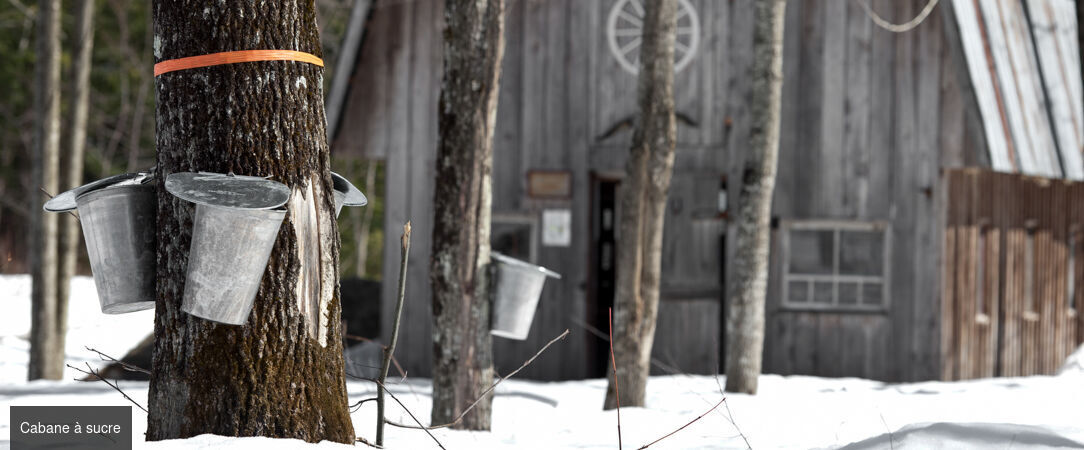 Magie d'hiver au fjord-du-Saguenay - Circuit de 7 nuits et 8 jours au cœur du Québec en hiver, entre activités nordiques, nature enneigée et immersion dans la chaleur humaine du Saguenay. - Canada : Montréal, fjord-du-Saguenay & Québec