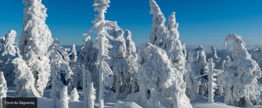 Magie d'hiver au fjord-du-Saguenay - Circuit de 7 nuits et 8 jours au cœur du Québec en hiver, entre activités nordiques, nature enneigée et immersion dans la chaleur humaine du Saguenay. - Canada : Montréal, fjord-du-Saguenay & Québec
