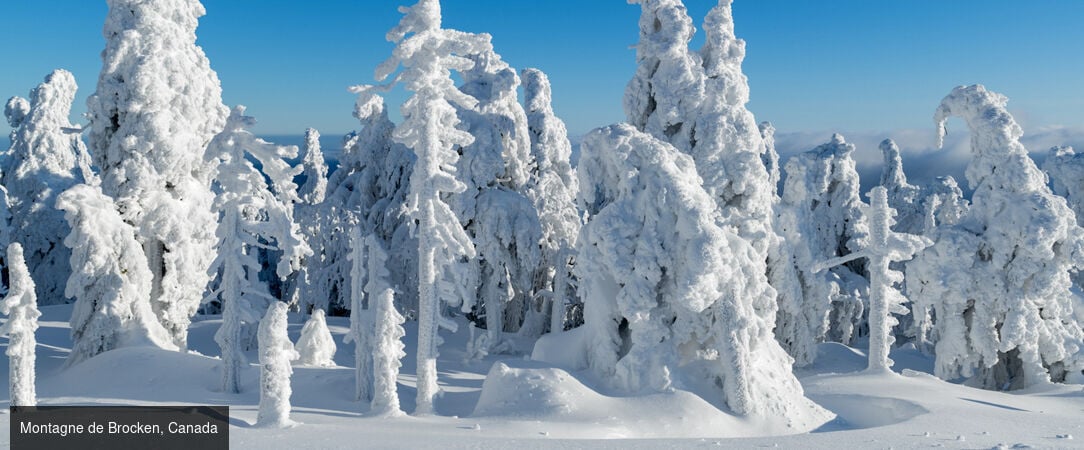 Les Fjords du Saguenay - Circuit de 8 jours au cœur du Québec en hiver, entre activités nordiques, nature enneigée et immersion dans la chaleur humaine du Saguenay. - Canada : Montréal, Fjord du Saguenay & Québec