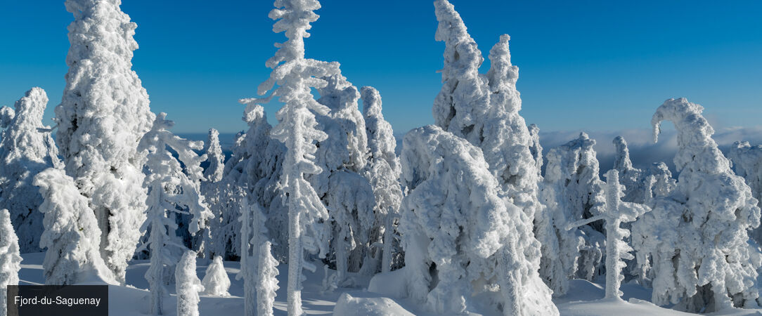 Magie d'hiver au fjord-du-Saguenay -  - Canada : Montréal, Fjord-du-Saguenay & Québec