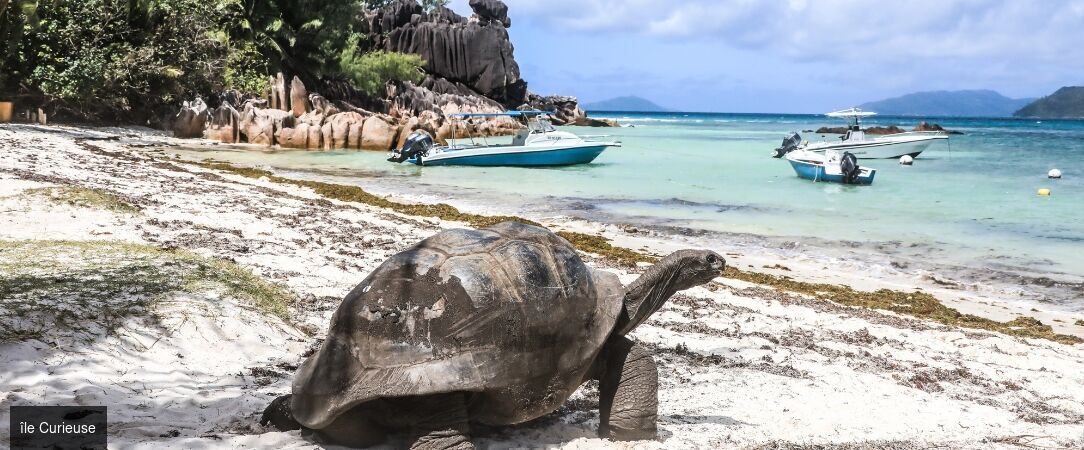 Croisière de rêve au fil des îles des Seychelles - Croisière de 7 nuits aux Seychelles : îles paradisiaques, eaux cristallines et nature préservée à bord du Pegasos. - Seychelles