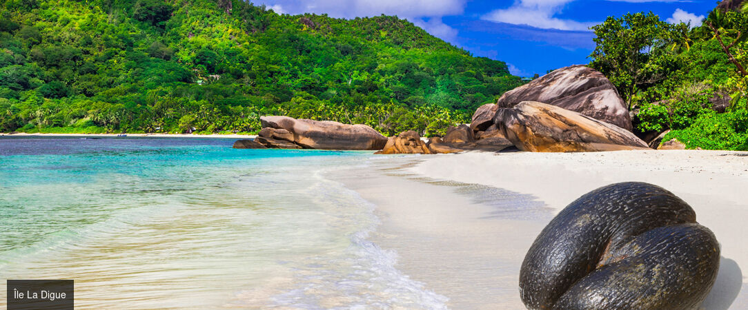 Croisière de rêve au fil des îles des Seychelles -  - Seychelles