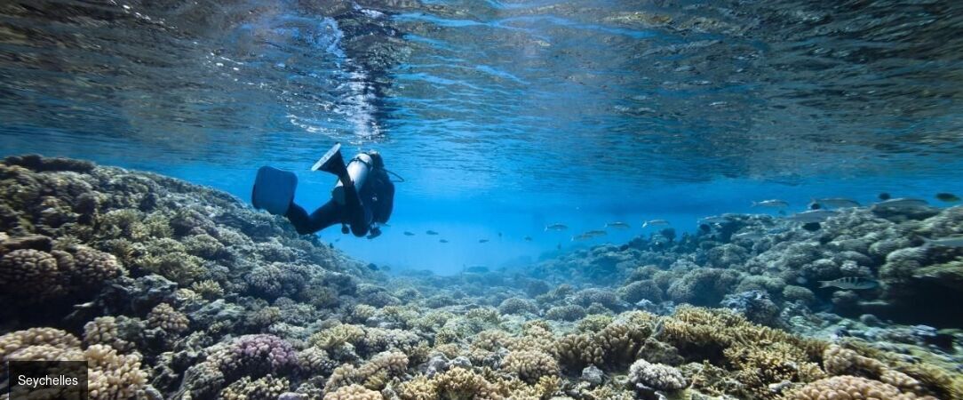 Croisière de rêve au fil des îles des Seychelles -  - Seychelles