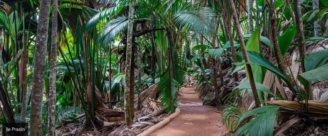 Croisière de rêve au fil des îles des Seychelles -  - Seychelles