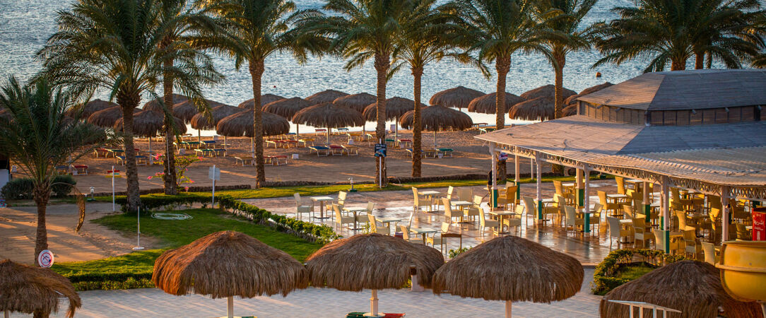 Sentido Caribbean Soma Bay ★★★★★ - Un vaste resort égyptien posé sur une plage spectaculaire de la mer Rouge. - Hurghada, Égypte