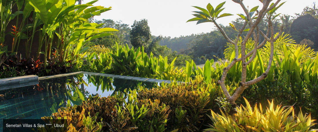 Voyage en trois étapes à Bali -  - Bali : Kuta, Ubud & Seminyak