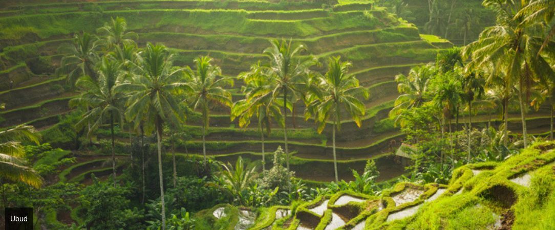 Échappée balinaise en 3 temps - Combiné de 7 à 18 nuits, triptyque de rêve à Bali : Ubud, Nusa Lembongan et Canggu. - Bali : Ubud, Nusa Lembongan & Canggu