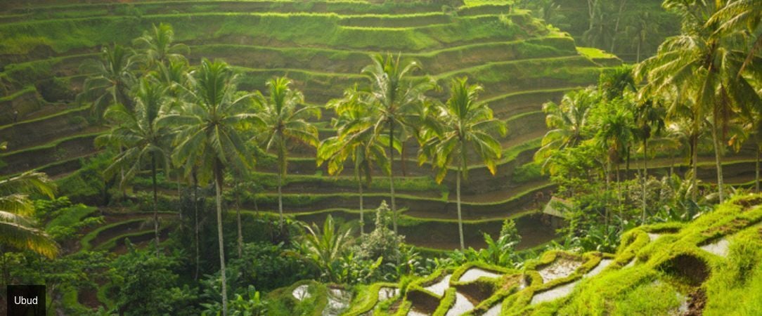 Triptyque de rêve à Bali -  - Bali : Ubud, Nusa Lembongan & Canggu