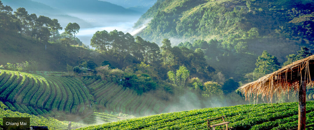 Voyage raffiné au cœur de la Thaïlande - Combiné de 11 nuits, voyage sensoriel et raffiné en Thaïlande, entre temples, nature et plages du sud. - Thaïlande : Bangkok, Chiang Mai & Phuket