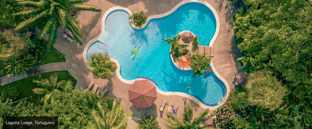 Circuit : jungle, plages et pura vida au Costa Rica - Un voyage inoubliable au cœur de la nature sauvage du Costa Rica. - Costa Rica