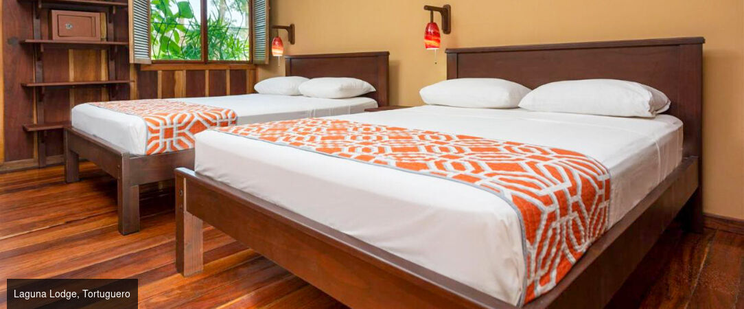 Circuit : jungle, plages et pura vida au Costa Rica - Un voyage inoubliable au cœur de la nature sauvage du Costa Rica. - Costa Rica