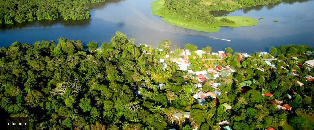 Circuit : jungle, plages et pura vida au Costa Rica - Un voyage inoubliable au cœur de la nature sauvage du Costa Rica. - Costa Rica