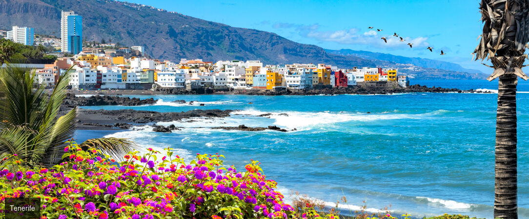 AluaSoul Costa Adeje ★★★★ - Adults Only - Havre de paix réservé aux adultes, oasis paradisiaque de luxe et de sérénité à Tenerife. - Tenerife, Îles Canaries