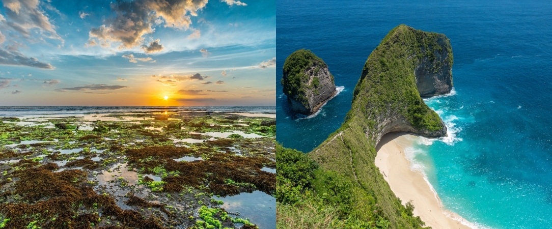 Horizons balinais et douceur insulaire - Combiné de 7 à 18 nuits entre la jungle spirituelle d'Ubud, les eaux cristallines de Nusa Lembongan et l'effervescence bohème de Canggu. - Indonésie : Bali, Nusa Lembongan & Canggu