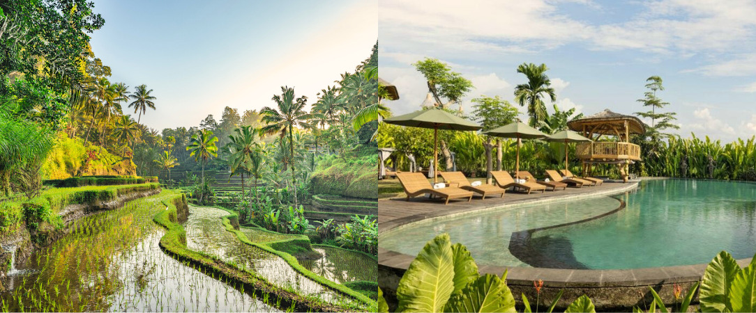 Triptyque de rêve en Indonésie - Combiné de 7 à 18 nuits d’Ubud à Canggu via Gili Trawangan, l’Indonésie entre nature, plages et douceur de vivre. - Indonésie : Ubud, Gili Trawangan & Canggu