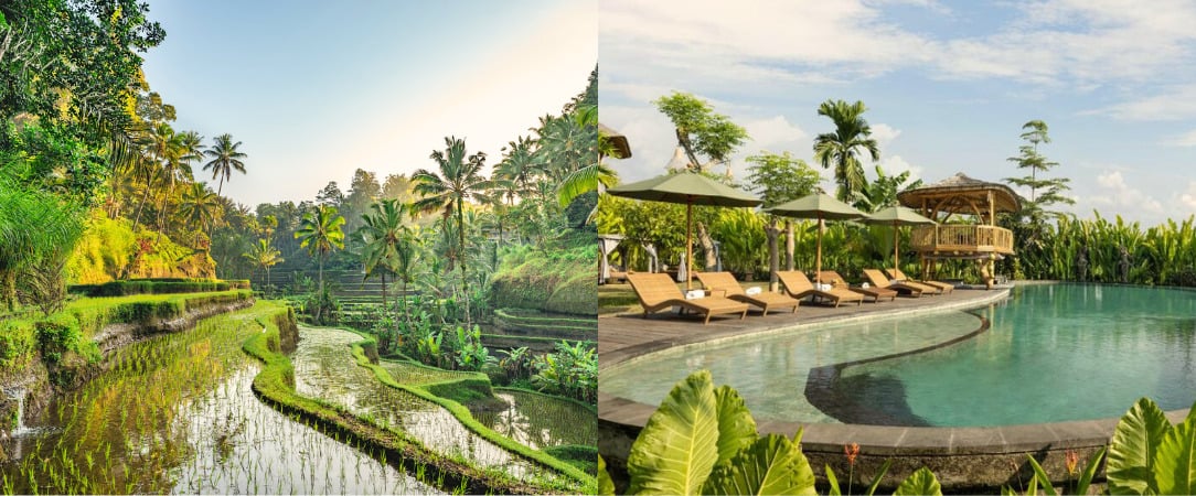 Triptyque de rêve en Indonésie - Combiné de 7 à 18 nuits d’Ubud à Canggu via Gili Trawangan, l’Indonésie entre nature, plages et douceur de vivre. - Indonésie : Ubud, Gili Trawangan & Canggu