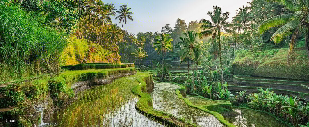 Triptyque de rêve en Indonésie : Ubud, Gili Trawangan et Canggu -  - Indonésie : Bali & Gili Trawangan