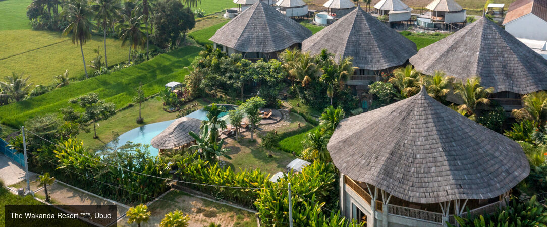 Triptyque de rêve en Indonésie : Ubud, Gili Trawangan et Canggu -  - Indonésie : Bali & Gili Trawangan