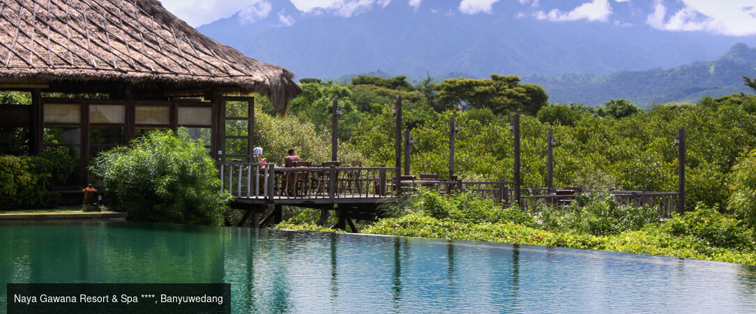 Échappée balinaise en trois escales, entre Ubud, Banyuwedang et Sanur - Magnifique escapade indonésienne en trois étapes relaxantes, de Ubud à Sanur en passant par Banyuwedang. - Bali, Indonésie